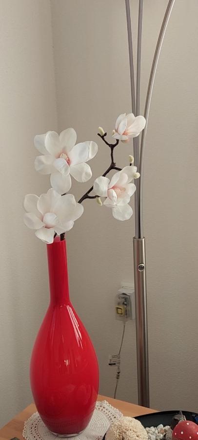 Ferienwohnung Odenwaldblick Momlingen 外观 照片